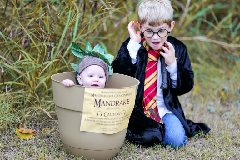 photographer's picks (37 of 47)