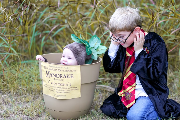 photographer's picks (38 of 47)