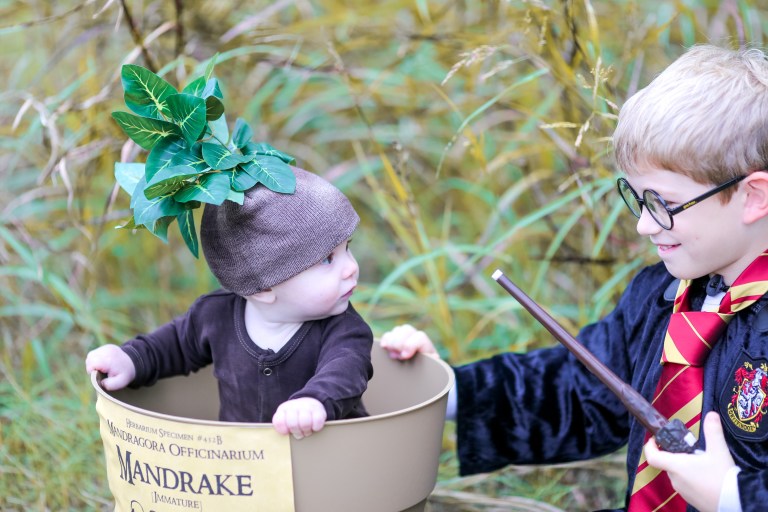 photographer's picks (45 of 47)